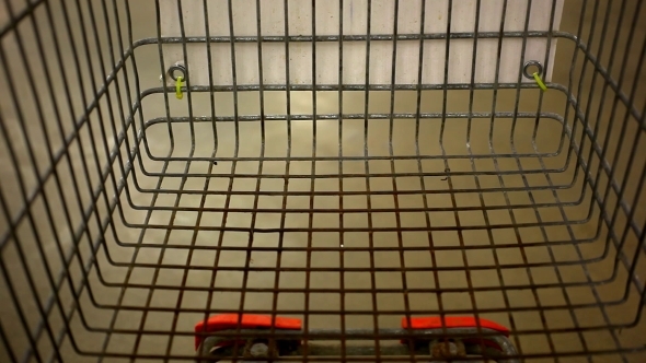Customer Shopping At Supermarket With Trolley