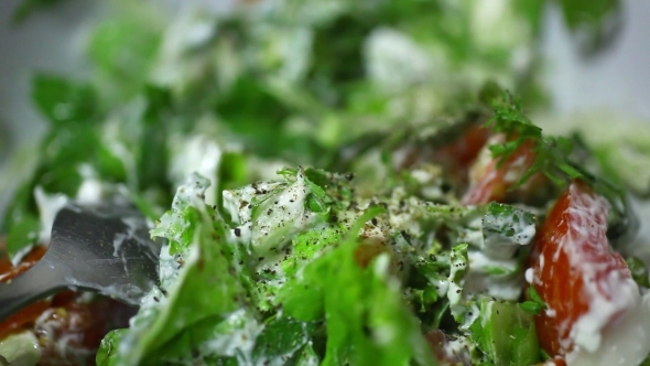 Adding Cherry Tomato In Vegetable Salad alt