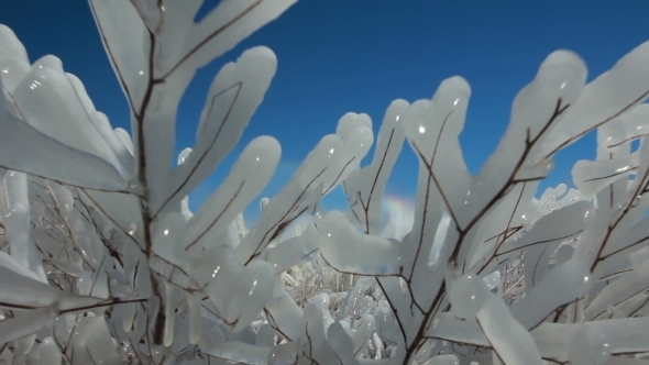 Winter Ice Blocks