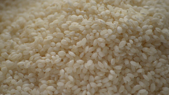 Rice Round Slowly Falling Down