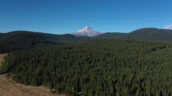 Aerial drone flying above vast forest toward snow covered mountain - Mt. Hood in Oregon.