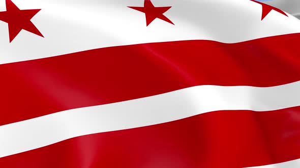 Washington DC Flag