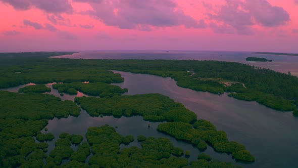 Aerial View of Mangrove Forest and River on the Siargao Island at Sunset Time. Mangrove Jungles