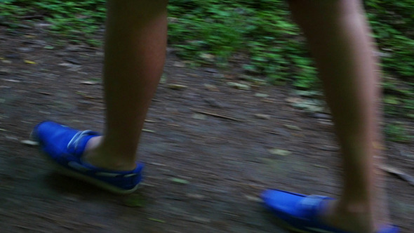 Walking Legs In Forest alt