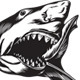 Aggressive Shark - GraphicRiver Item for Sale