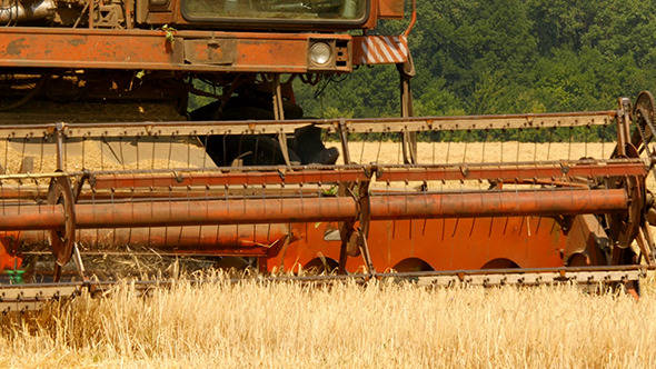 Old Grain Harvester Working In Field