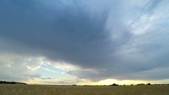 Sunset Sky over a Wheat Field