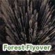 Forest Flyover - VideoHive Item for Sale