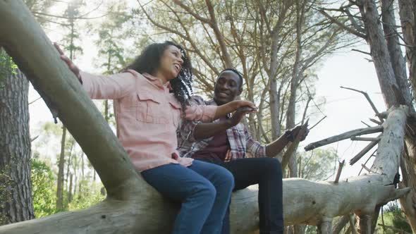 Smiling diverse couple holding hands and sitting on tree in countryside