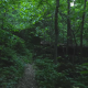 Walking on Hiking Trail - VideoHive Item for Sale