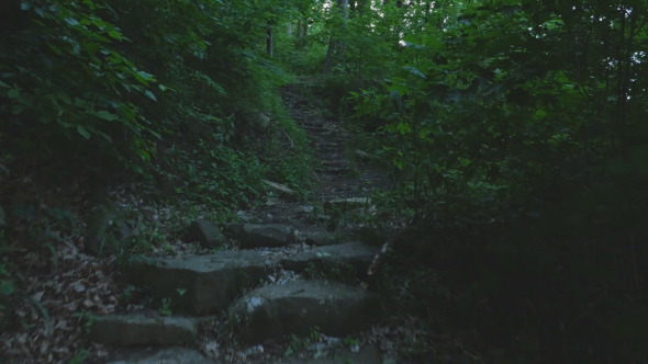 Walking on Hiking Trail