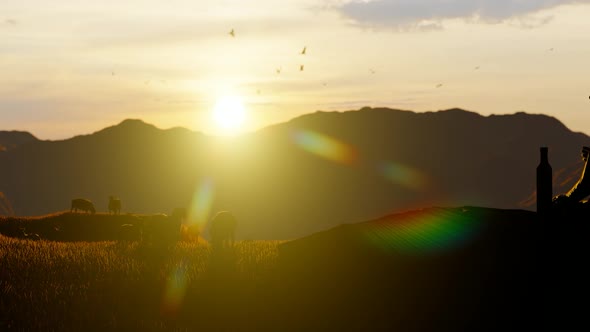 Lonely Woman Drinking Alcohol at Sunset