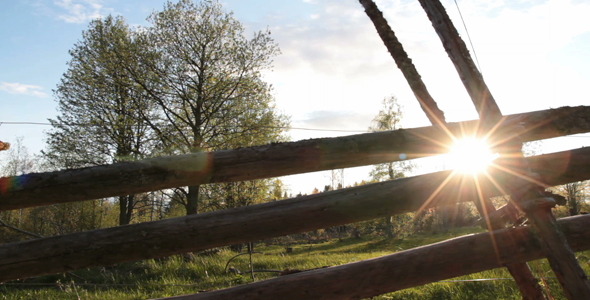 Wooden Fence And Meadow With Trees