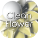 3D Clean Flower Logo - VideoHive Item for Sale