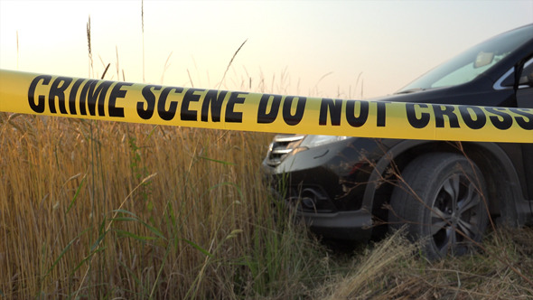 Crime Scene and  Car 6