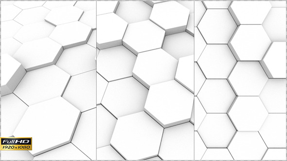 Clean White Hexagons