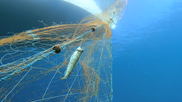 Caught Fish in Net Hanging From Boat Under Sea