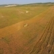 AERIAL VIEW.  The Mechanical Harvester Harvests - VideoHive Item for Sale
