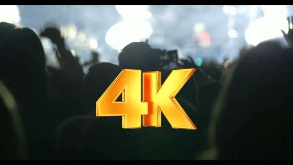 Public Enjoying The Performance alt