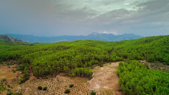 Aerial Forest view in Cloudy Weather