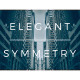Elegant Symmetry - VideoHive Item for Sale