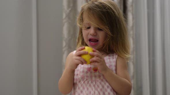 Portrait of Cute Baby Girl in Dress Who Eats a Sour Lemon While Sitting Indoors on High Chair