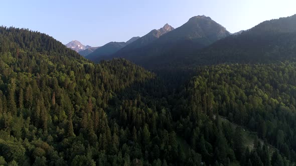 Green Wild Forest and Mountains in Summer Aerial View