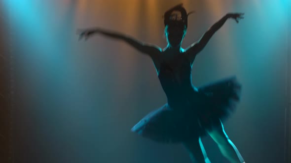 Silhouette of a Graceful Ballerina in a Chic Image of a Black Swan. Dancing of Elements Classical