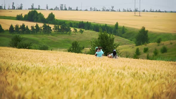 Caucasian Family Is Walking Far Away on a Summer Wheat Field in Slow Motion