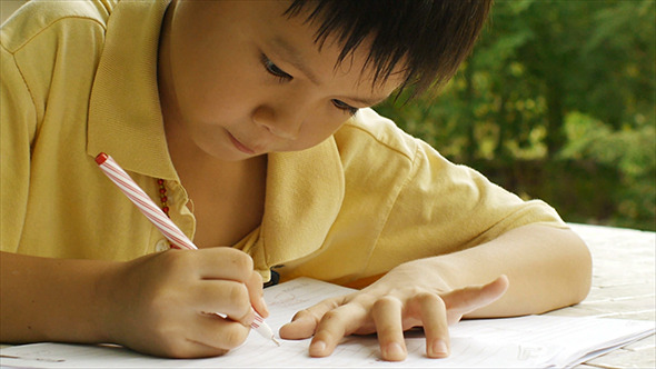 Young Boy Doing Homework 07