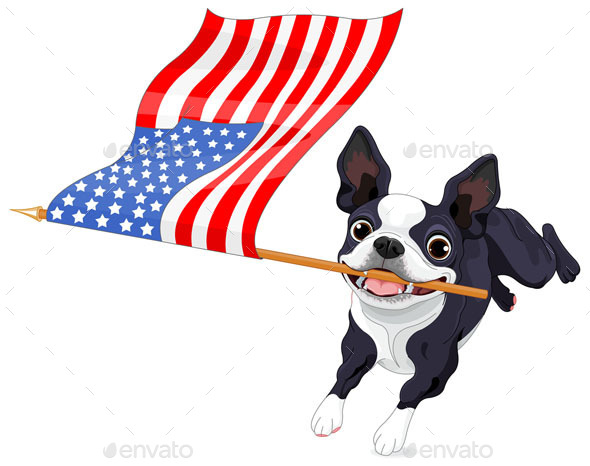 Boston Terrier Running Flag