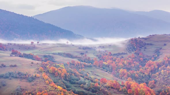 Morning Mist Over the Valley Among the Mountains in the Sunlight. Fog and Beautiful Nature of