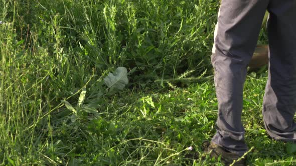 A Man Mows Grass with a Manual Lawn Mower. Bottom View of a Lawn Mower.