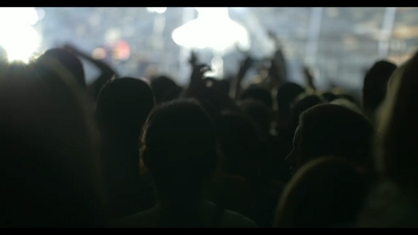 Dancing Audience Of Musical Band Performance alt