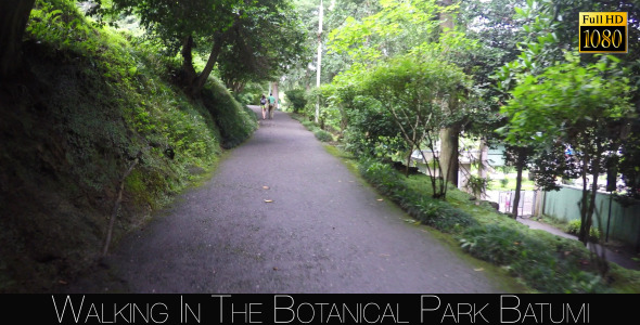 Botanical Park In Batumi