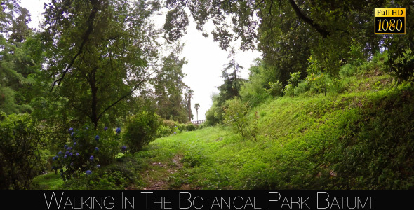 Botanical Park In Batumi 4