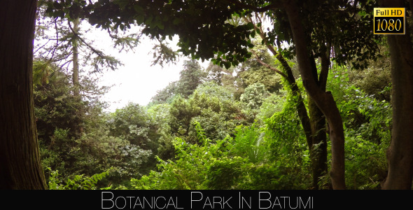Botanical Park In Batumi 7