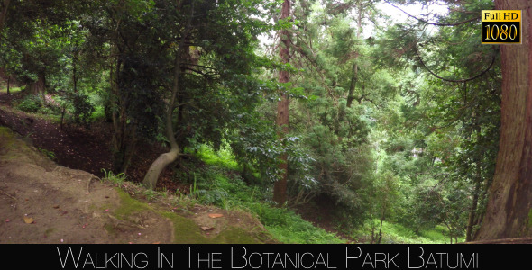 Botanical Park In Batumi 10
