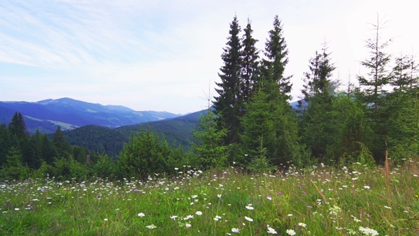 Mountain Landscape