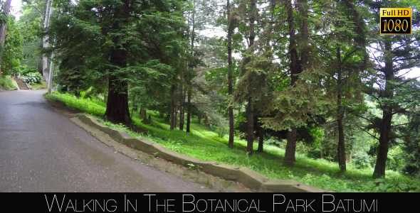Botanical Park In Batumi 21