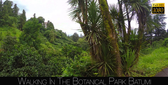 Botanical Park In Batumi 26