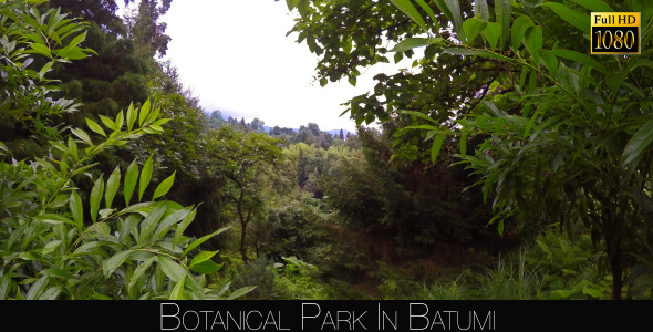Botanical Park In Batumi 34