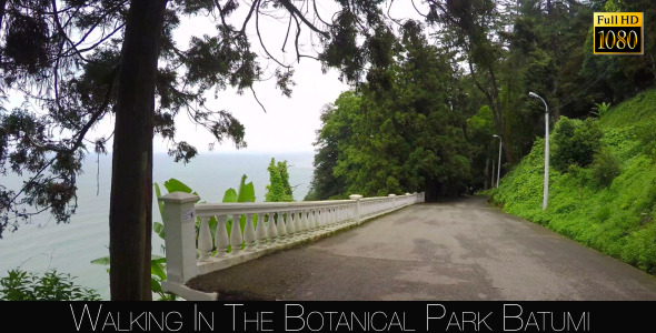 Botanical Park In Batumi 46