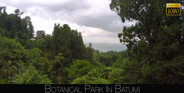 Botanical Park In Batumi 47