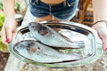 Fish on a platter - PhotoDune Item for Sale