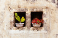 Flower Pots - PhotoDune Item for Sale