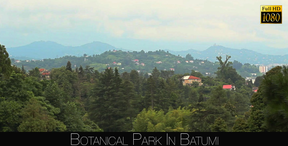 Botanical Park In Batumi 51