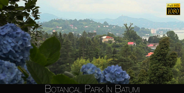 Botanical Park In Batumi 53