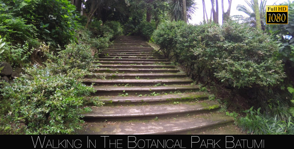 Botanical Park In Batumi 57