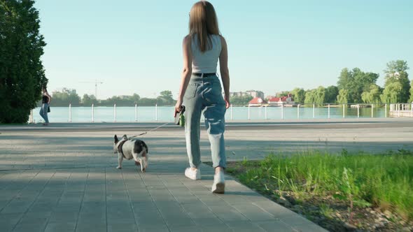 Unrecognizable Woman Walking with French Bulldog in Park.